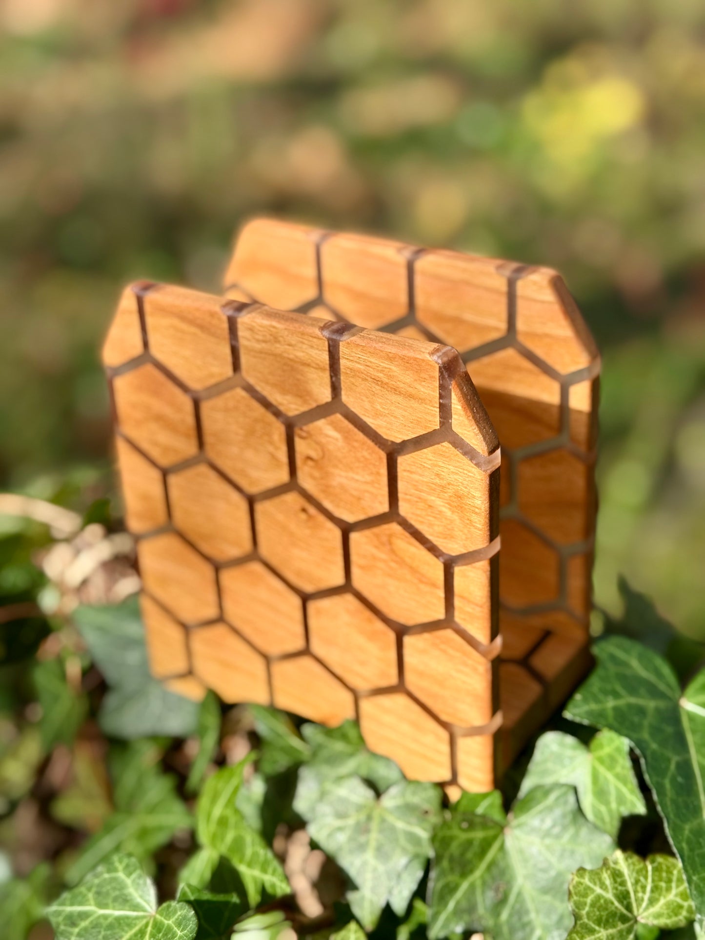 Honeycomb Napkin Holder
