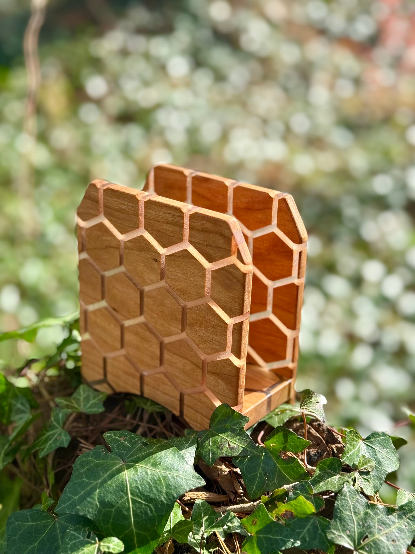 Honeycomb Napkin Holder