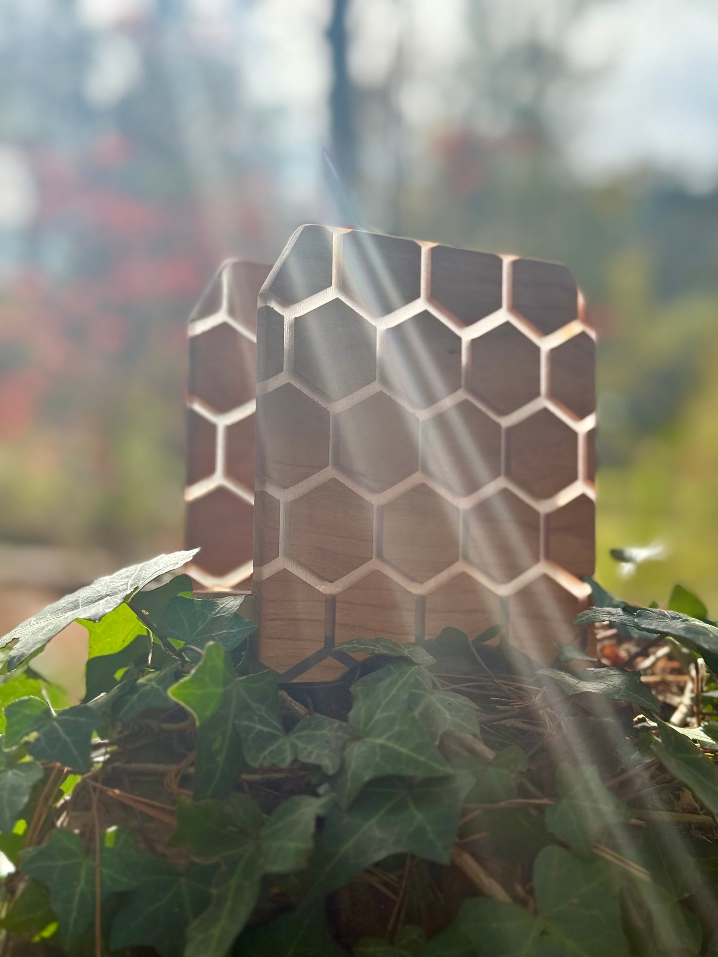 Honeycomb Napkin Holder