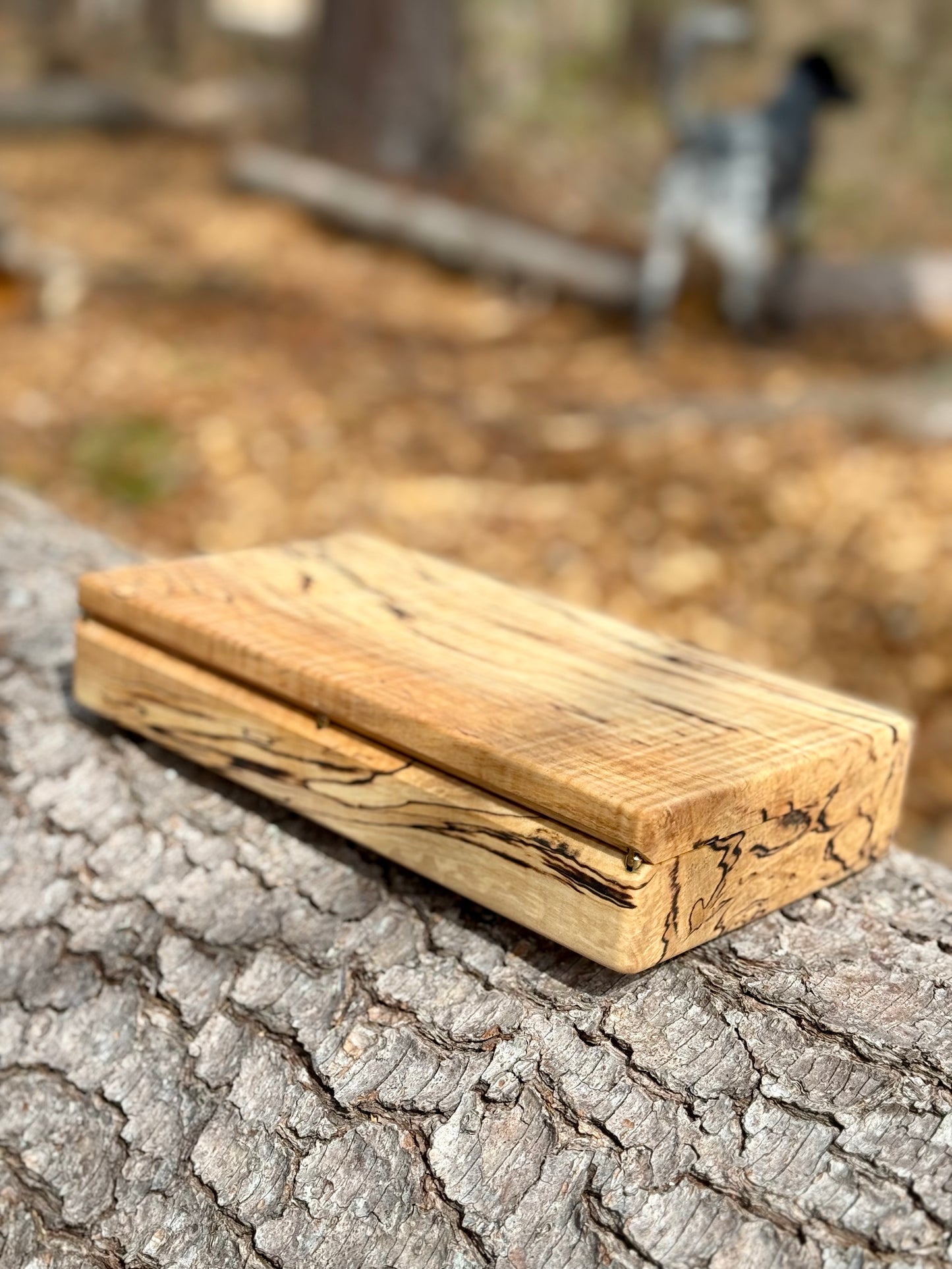 Spalted Curly Maple Keepsake Box | Handmade Jewelry Box