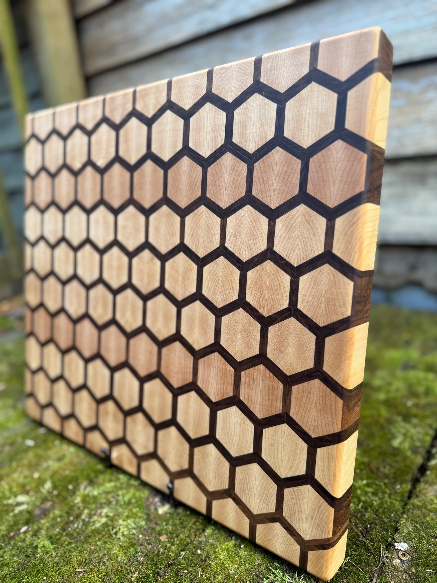 Honeycomb - Maple Primary