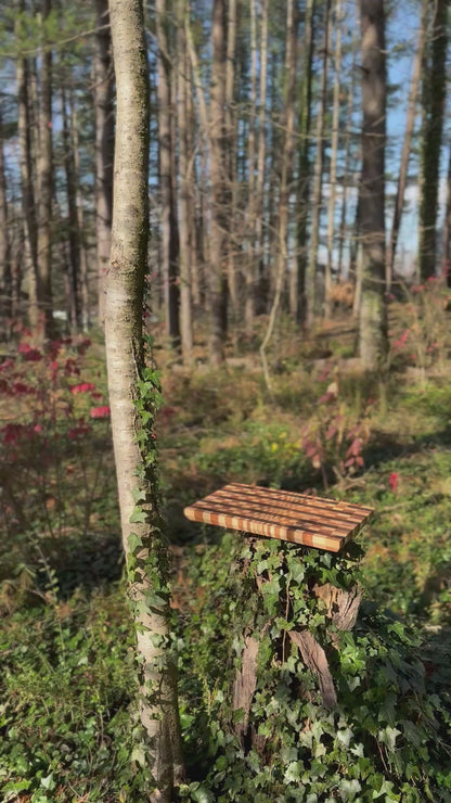 Behind the Lines - Illusion End Grain Cutting Board
