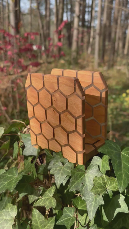 Honeycomb Napkin Holder